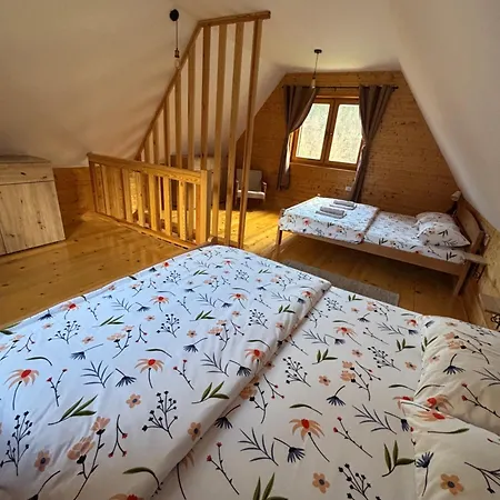 Lenka I Vagoncic Mokra Gora