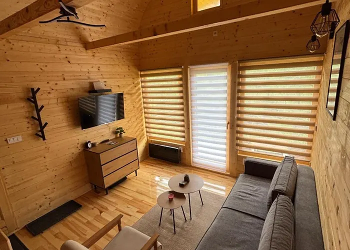 Lenka I Vagoncic Mokra Gora