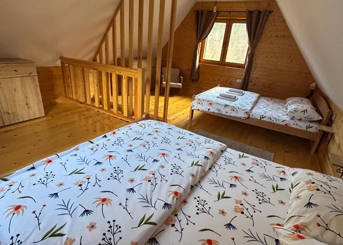 Lenka I Vagoncic Mokra Gora