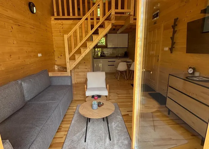 Lenka I Vagoncic * Mokra Gora